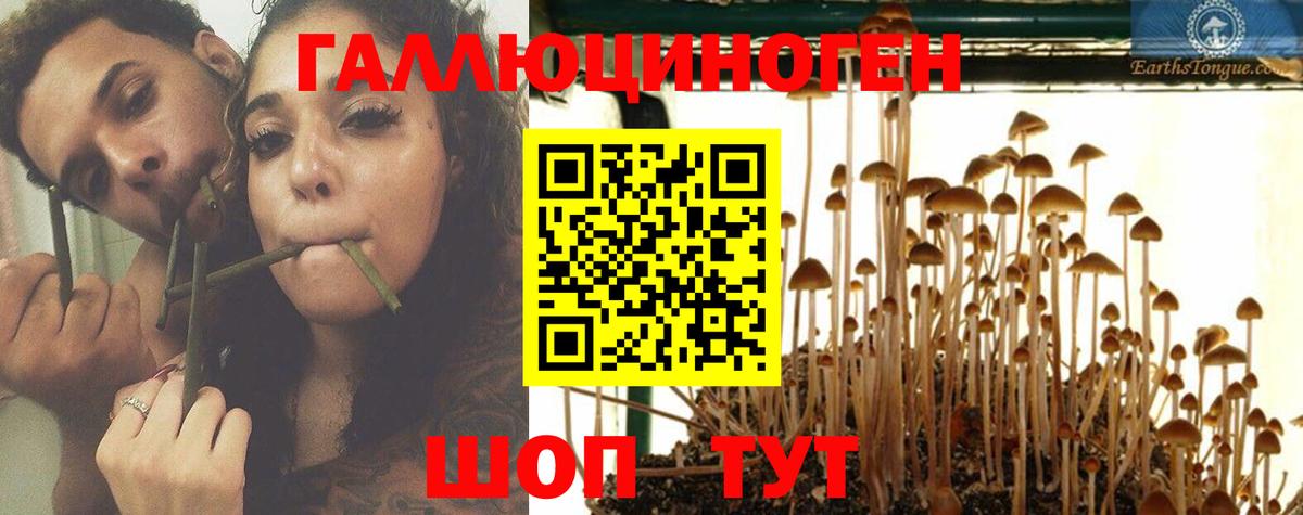 Когалым  Псилоцибиновые грибы Magic Shrooms  Псилоцибиновые грибы Psilocybe  Вход с VPN 