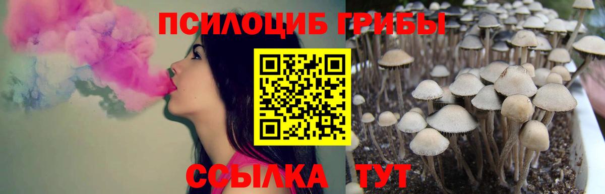 Псилоцибиновые грибы прущие грибы Когалым